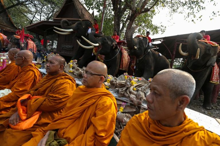 الاحتفال باليوم الوطني للفيلة