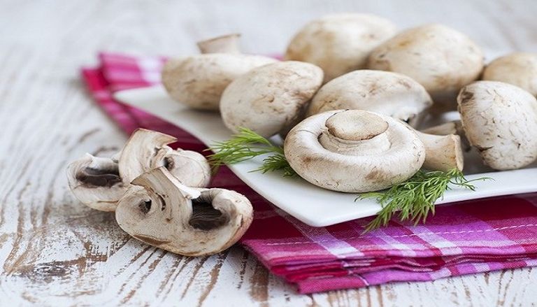 فوائد المشروم فوائد المشروم