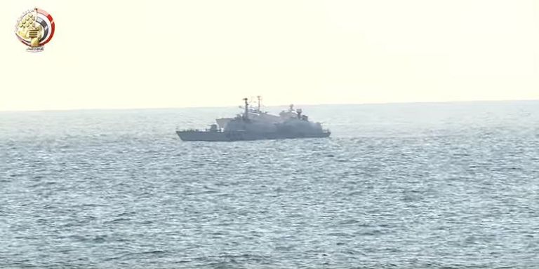 الرئيس المصري والحكومة وانتصارات في الحرب على الإرهاب- أرشيفية