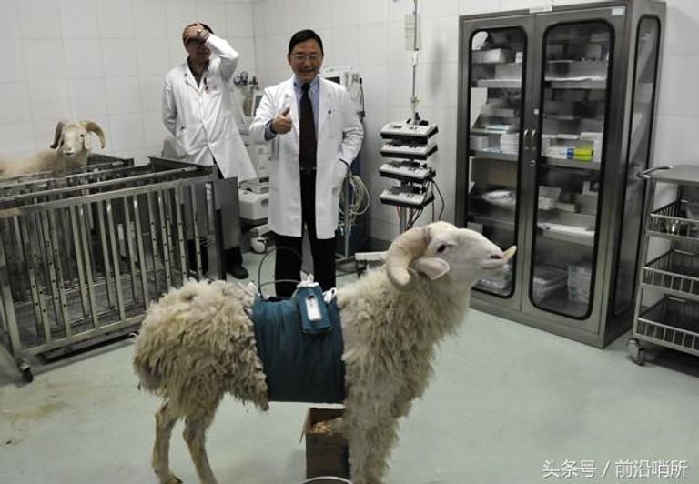 أمراض القلب - تعبيرية