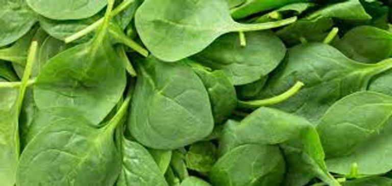 السبانخ وجبات خفيفة تمنعك من الإفراط في الأكل