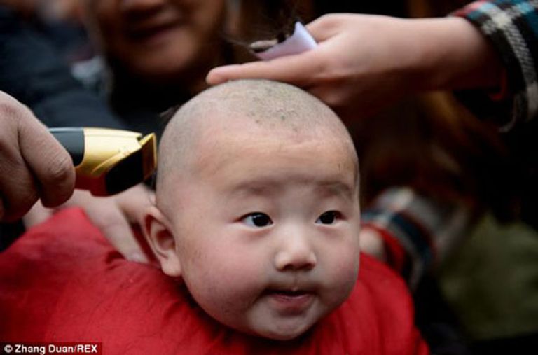 حلق الشعر يجلب الحظ بمهرجان "رفع رأس التنين"