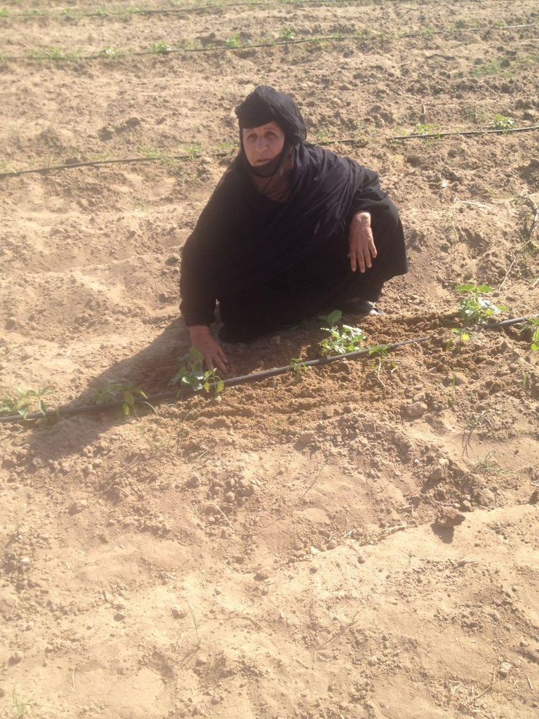 السيدة ألماظ - الأم المثالية الثالية على مستوى الجمهورية