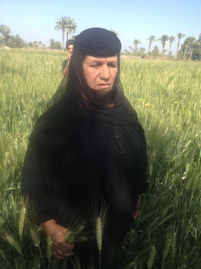 السيدة ألماظ - الأم المثالية الثالية على مستوى الجمهورية