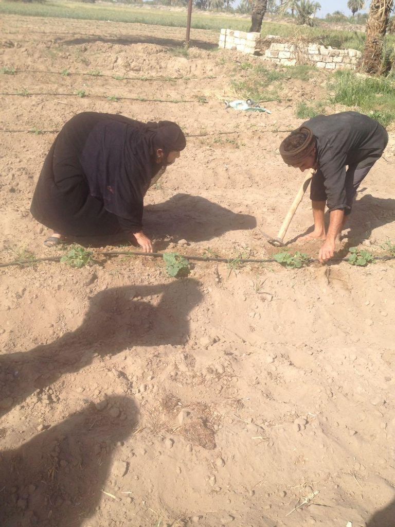  ألماظ إحدى الأمهات المثاليات- مصر 2018