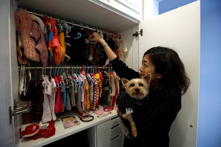 الكلب "فان فان" ومالكته الكلبان ومالكتهما