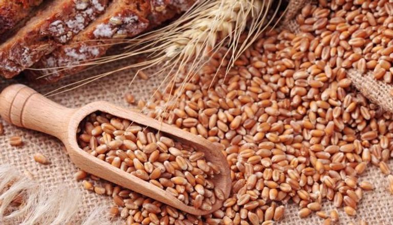 مطالبات برفع أسعار توريد القمح في مصر