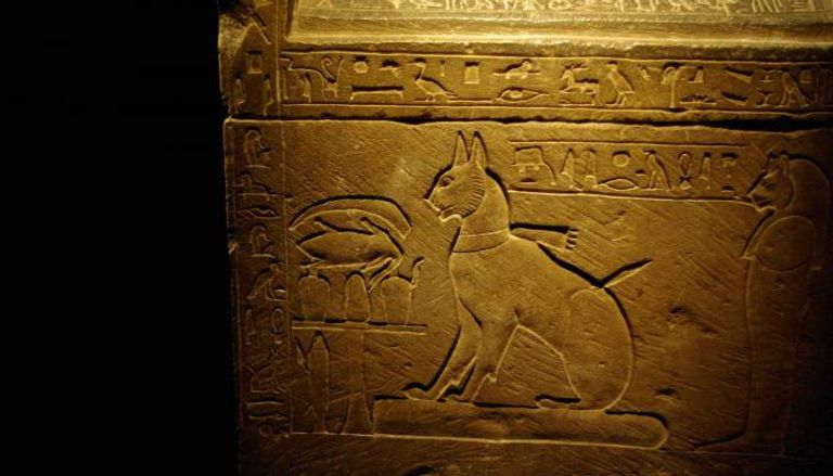 الآثار الفرعونية خلدت الكلاب والقطط