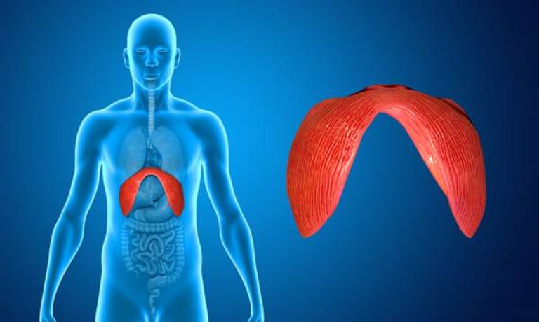 حرقة المعدة من أكثر الأمراض التي تؤثر على الجهاز التنفسي