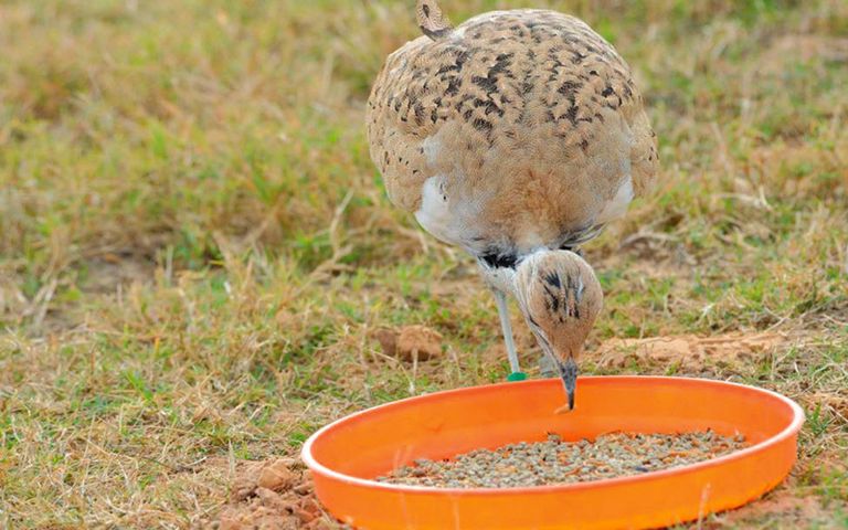 شعار وزارة التغير المناخي والبيئة