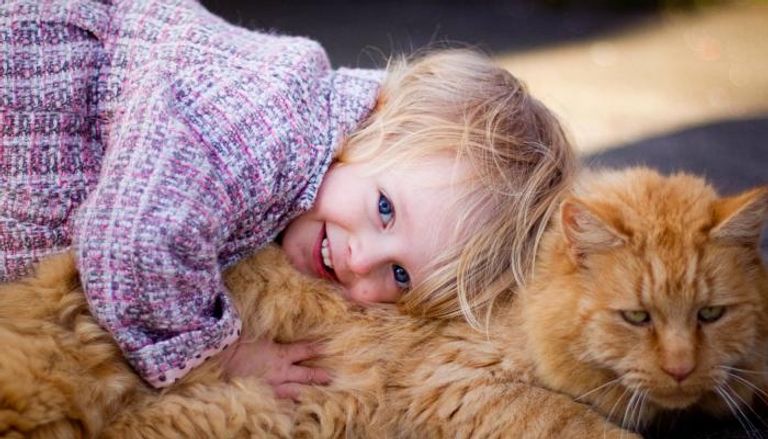 القطط تسبب الحساسية للأطفال