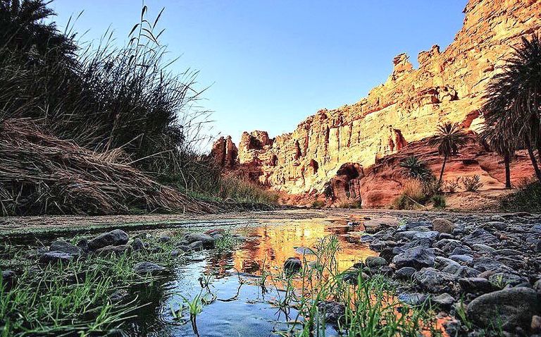 قرية الديسة السعودية