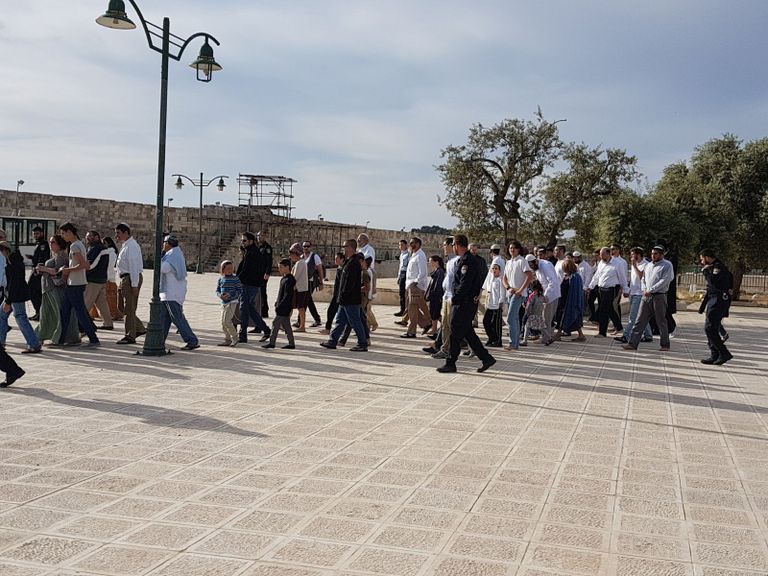 مستطوطنون يدنسون الأقصى تحت حراسة قوات الاحتلال مستوطنون يدنسون الأقصى تحت حراسة الاحتلال