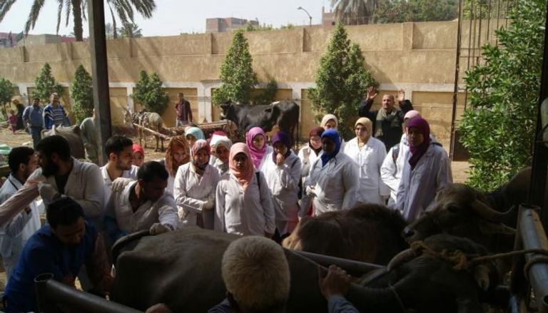 روتاري مصر يطلق قافلة بيطرية 