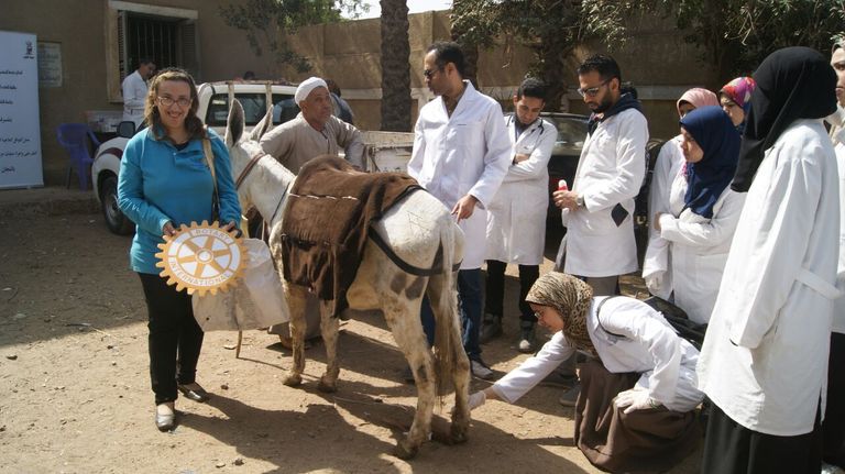 روتاري مصر يطلق قافلة بيطرية 