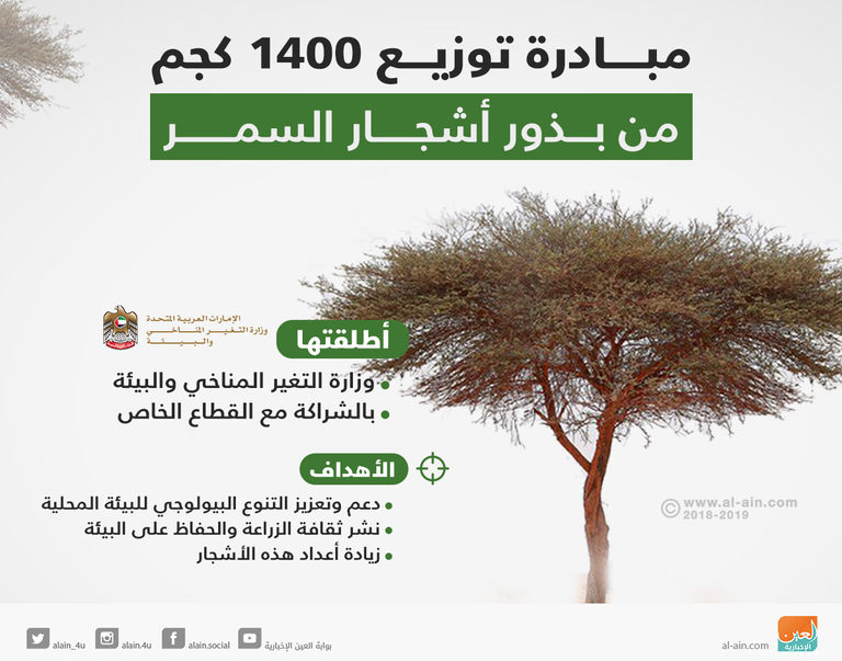 إنفوجراف مبادرة توزيع 1400 كجم من بذور أشجار السمر بالإمارات