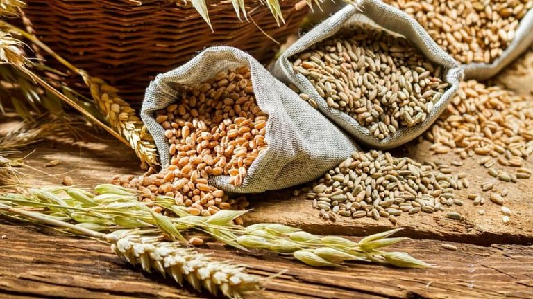 أطعمة غنية بالحديد