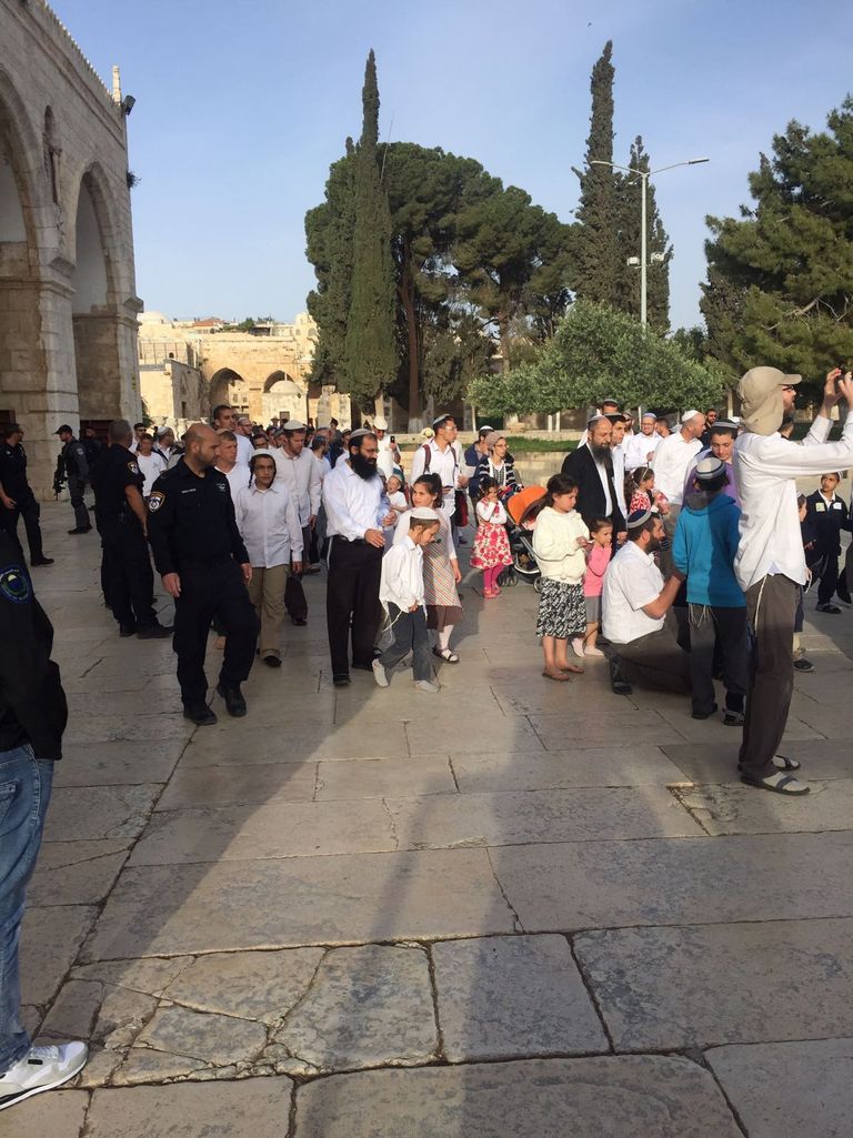 المستوطنين يقتحمون الأقصى اقتحامات المستوطنين للمسجد الأقصى