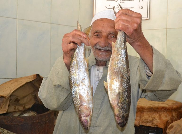 مواطنون يشترون أسماك الفسيخ من أحد محلات مدينة نبروه