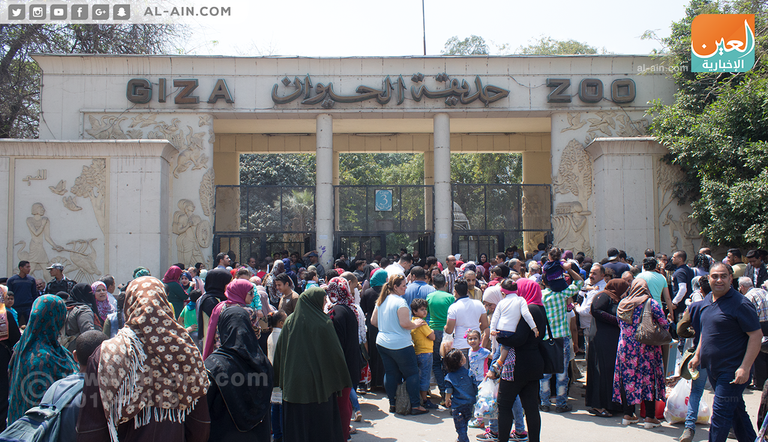 البيض الملون في شم النسيم