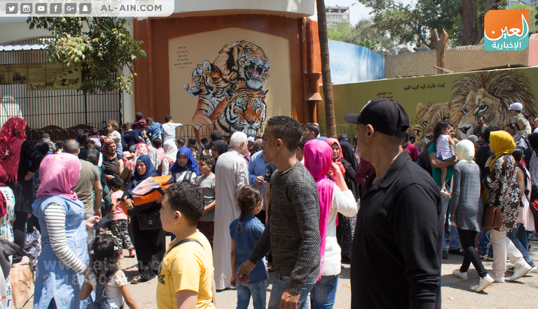 البيض الملون في شم النسيم