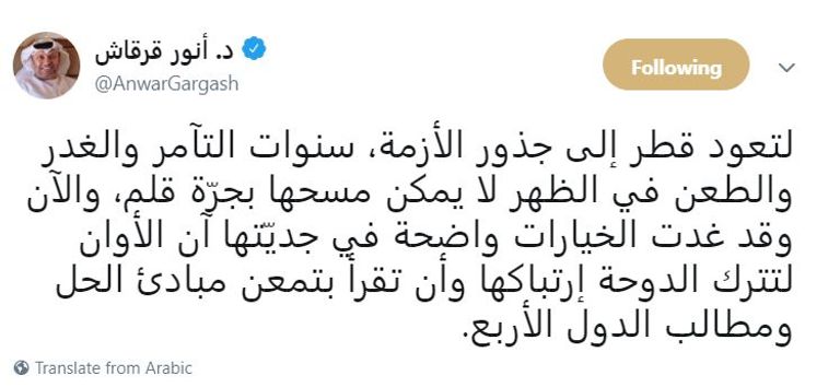 الدكتور أنور بن محمد قرقاش وزير الدولة الإماراتي للشؤون الخارجية