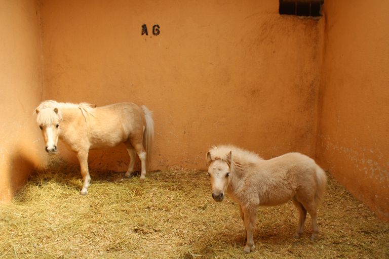 "مادبا" الأردنية مدينة الينابيع الاستشفائية والكنائس