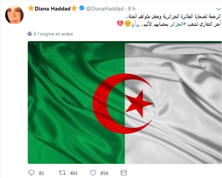 تدوينة النجمة البنانية ديانا حداد مكان سقوط الطائرة العسكرية الجزائرية