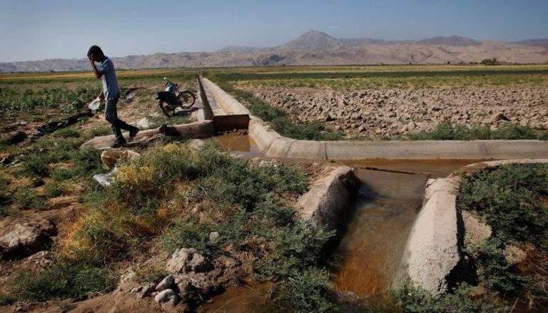 حقل للقطن في أحد المناطق الريفية بإيران يعاني من الجفاف وشح المياه