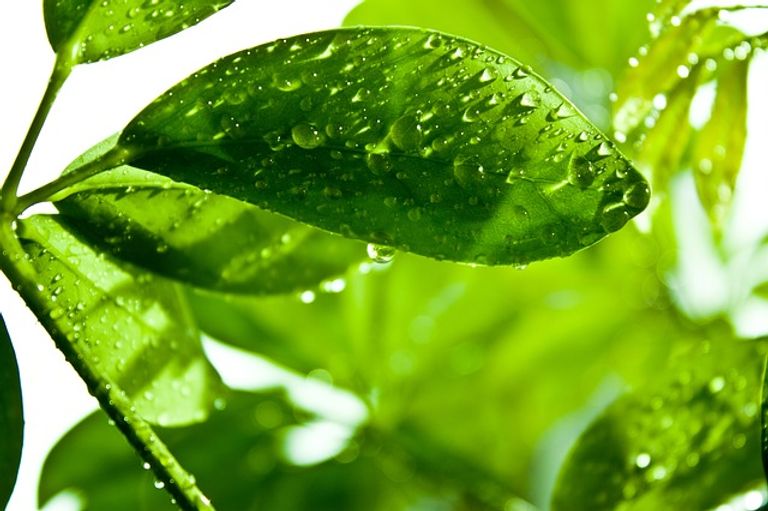 الألوان تؤثر على الصحة العامة والنفسية للإنسان