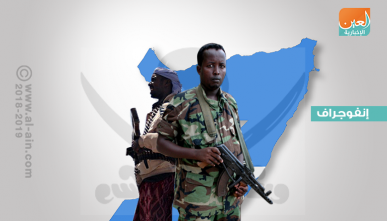 دور إماراتي بارز بالحد من ظاهرة القرصنة بالصومال