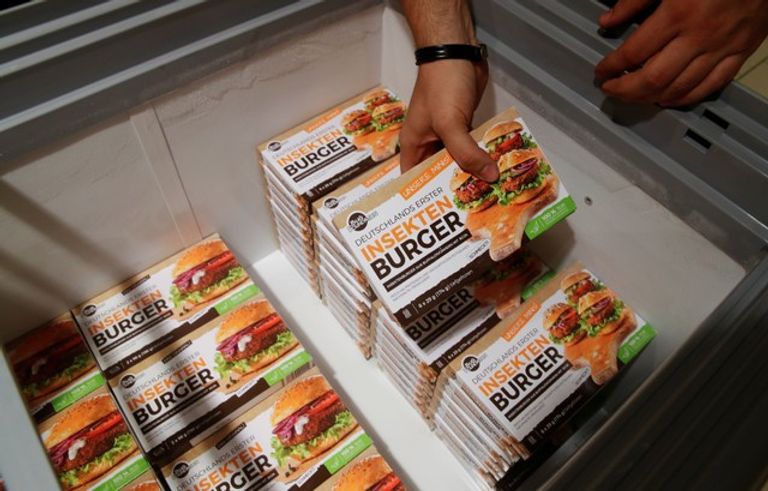 برجر حشري مصنوع من ديدان خنفساء القمامة