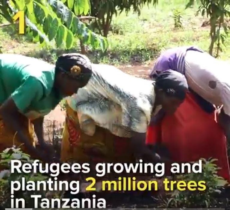 7 مشاريع صديقة للبيئة أطلقها لاجئون حول العالم