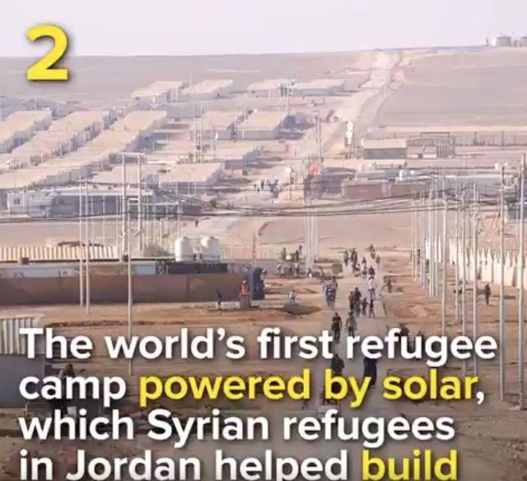 7 مشاريع صديقة للبيئة أطلقها لاجئون حول العالم