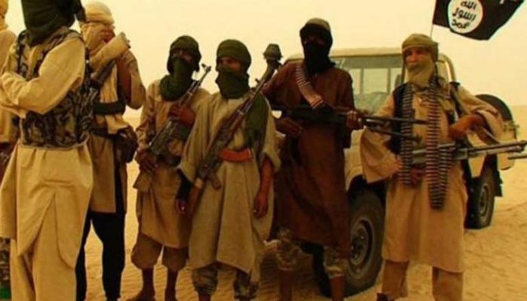 مسلحون منتمون لجماعات إرهابية في مالي - أرشيفية