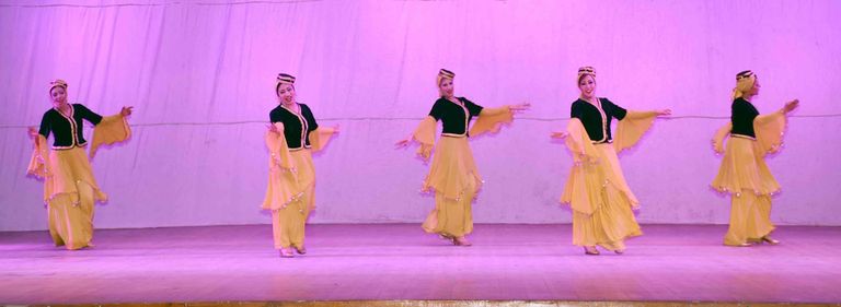 فرقة رضا الاستعراضية