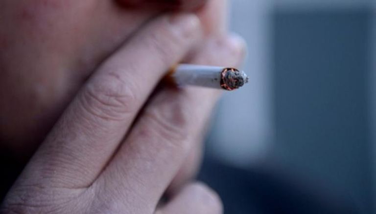 نمو ربح محتكر التبغ في مصر