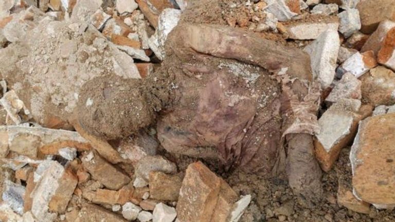 صورة متداولة إعلاميا للجثة المحنطة رضا بهلوي قلص سيطرة رجال الدين خلال عهده