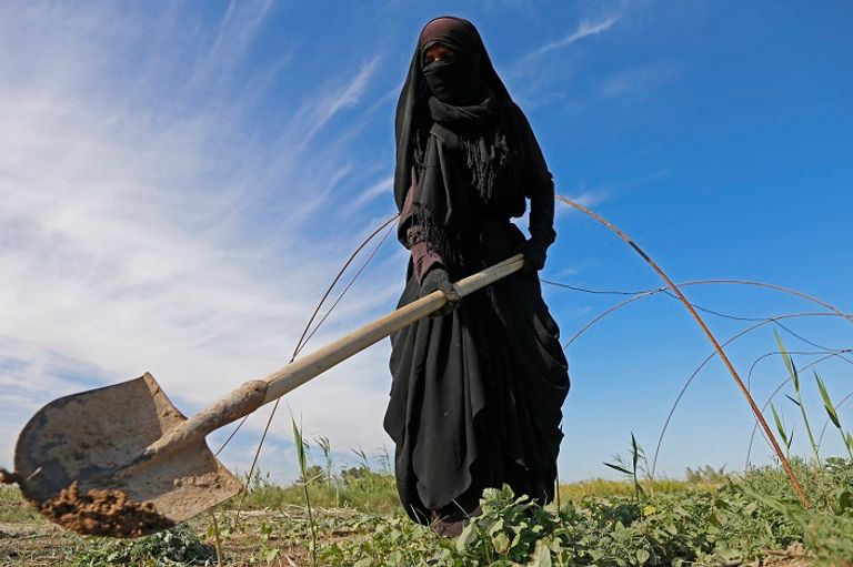 إحدى الترع التي جفت بقرية سيد دخيل الواقع إلى شرق مدينة الناصرية