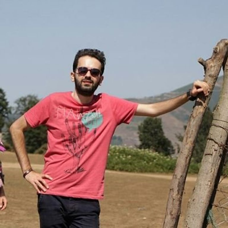 الصحفي المعتقل