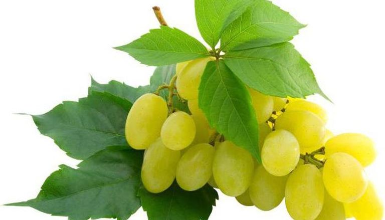 فوائد صحية عديدة لخل العنب الأبيض