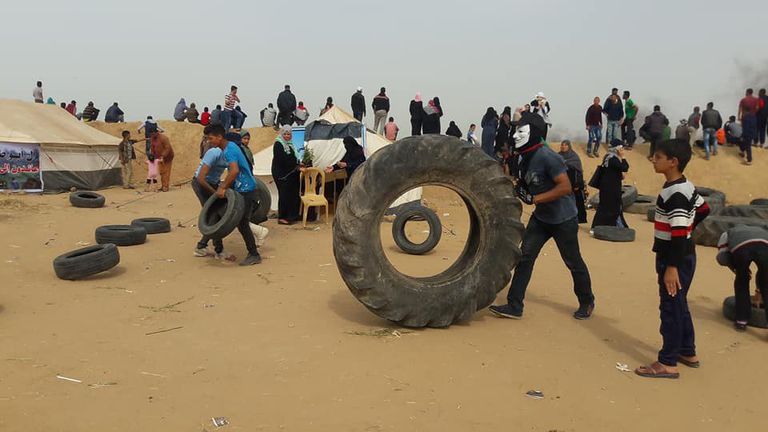 فلسطينيون يجمعون الكاوشوك القصاص.. أيقونة نضال فلسطينية جديدة