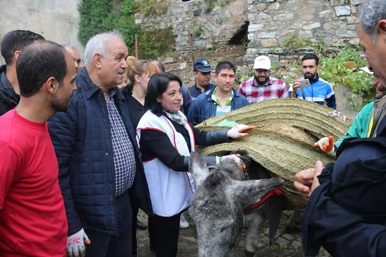 وزيرة البيئة الجزائرية تشارك في حملة تنظيف وزيرة البيئة الجزائرية تشارك في حملة تنظيف