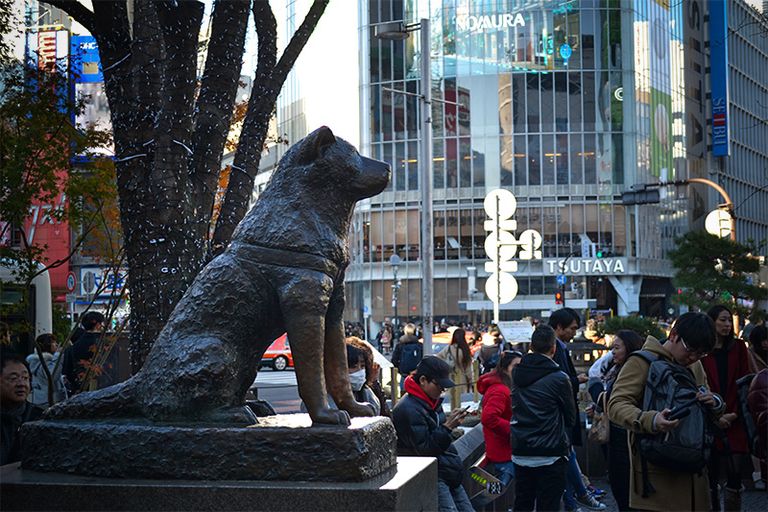 مشهد من العاصمة اليابانية طوكيو