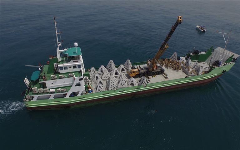 عملية إنزال الكهوف الاصطناعية إنزال 100 كهف اصطناعي في ميناء جميرا بدبي