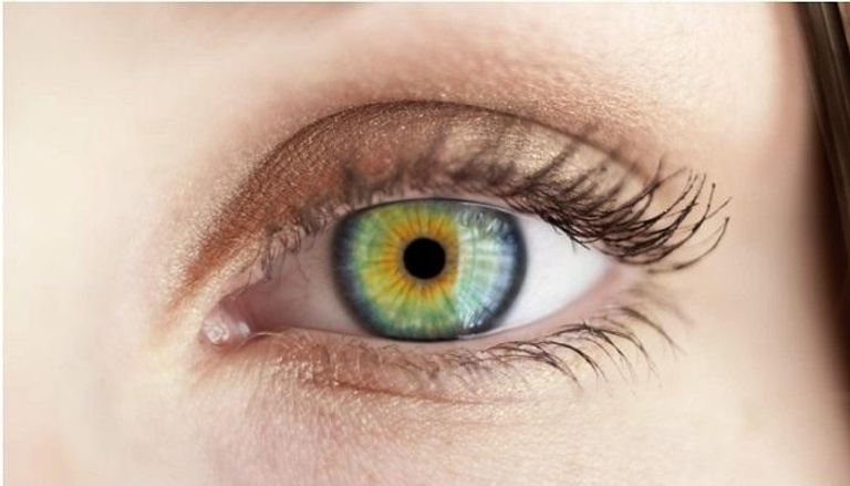 أصحاب الأعين الملونة أكثر عرضة للإصابة بالمرض