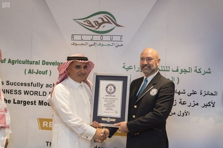 مجلس إدارة شركة الجوف يتسلم الجائزة