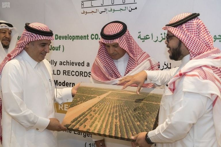 مجلس إدارة شركة الجوف يتسلم الجائزة