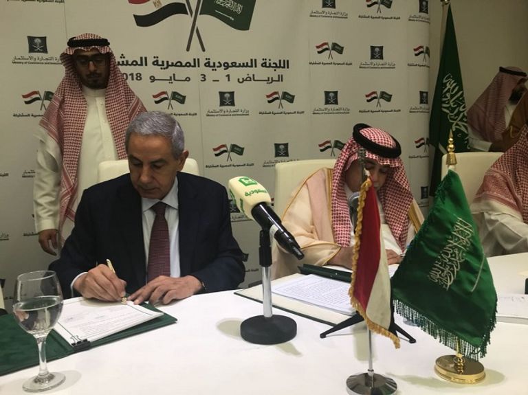 الجلسة الختامية لاجتماعات اللجنة السعودية المصرية بالرياض