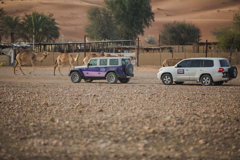 جمال الصحراء ومتعة الترفيه في مليحة